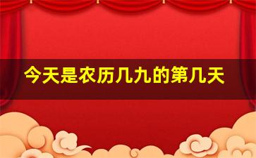 今天是农历几九的第几天