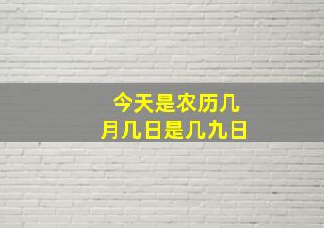 今天是农历几月几日是几九日