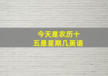 今天是农历十五是星期几英语