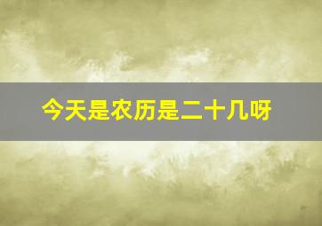 今天是农历是二十几呀