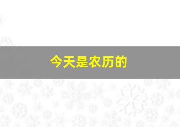 今天是农历的