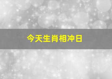 今天生肖相冲日