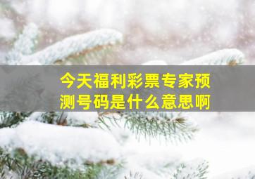 今天福利彩票专家预测号码是什么意思啊