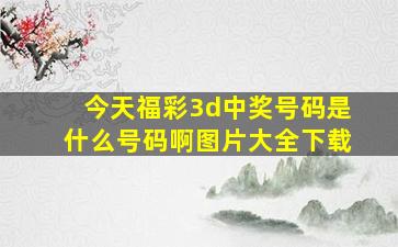 今天福彩3d中奖号码是什么号码啊图片大全下载