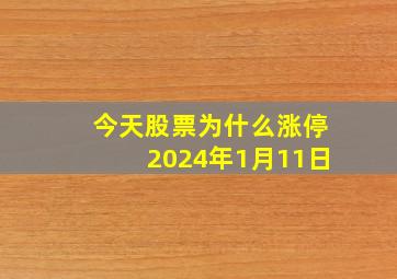 今天股票为什么涨停2024年1月11日