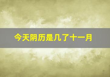 今天阴历是几了十一月