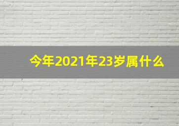 今年2021年23岁属什么