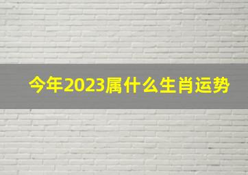 今年2023属什么生肖运势