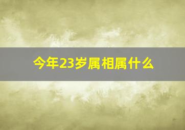 今年23岁属相属什么