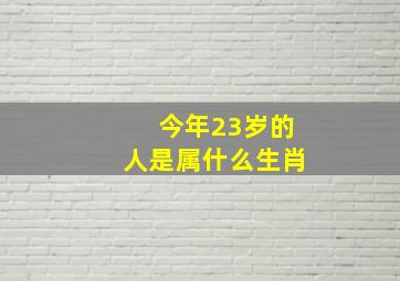 今年23岁的人是属什么生肖