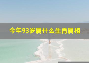 今年93岁属什么生肖属相