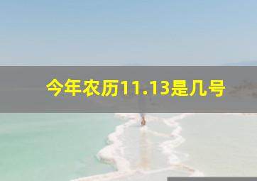 今年农历11.13是几号