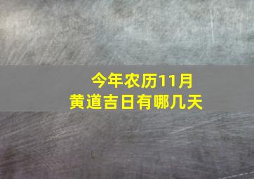 今年农历11月黄道吉日有哪几天