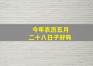 今年农历五月二十八日子好吗