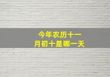 今年农历十一月初十是哪一天