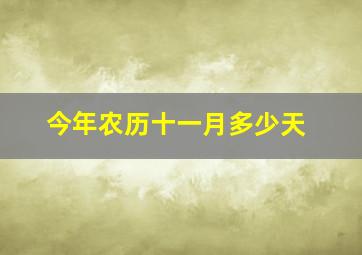 今年农历十一月多少天