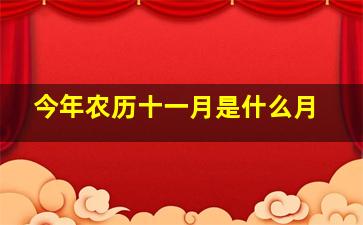 今年农历十一月是什么月