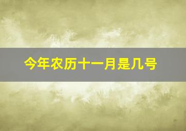 今年农历十一月是几号