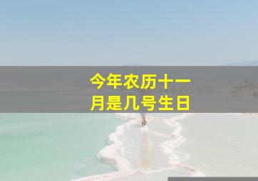 今年农历十一月是几号生日