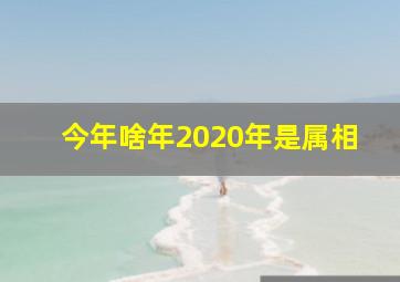 今年啥年2020年是属相