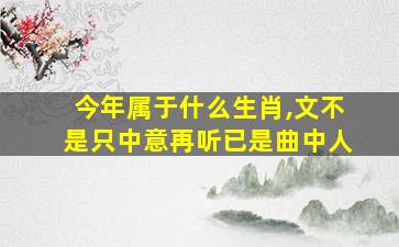 今年属于什么生肖,文不是只中意再听已是曲中人