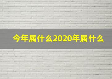 今年属什么2020年属什么