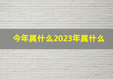 今年属什么2023年属什么