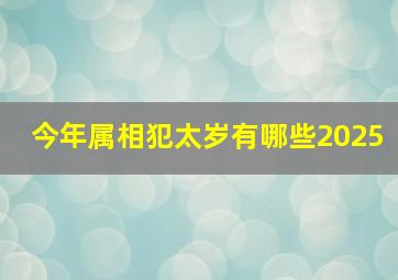 今年属相犯太岁有哪些2025