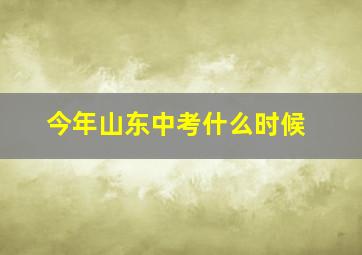 今年山东中考什么时候