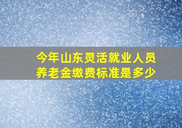 今年山东灵活就业人员养老金缴费标准是多少