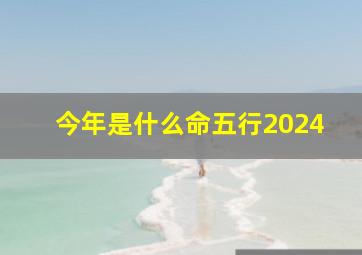 今年是什么命五行2024