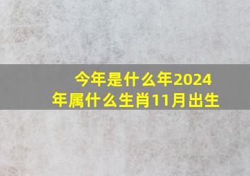 今年是什么年2024年属什么生肖11月出生