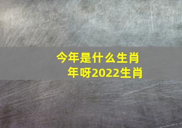 今年是什么生肖年呀2022生肖