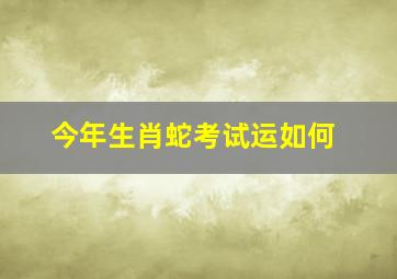 今年生肖蛇考试运如何