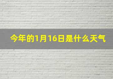 今年的1月16日是什么天气