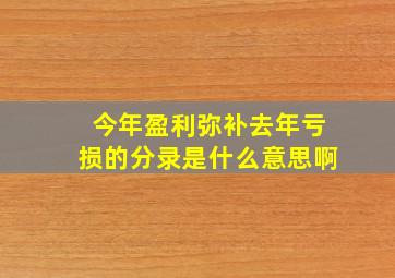 今年盈利弥补去年亏损的分录是什么意思啊