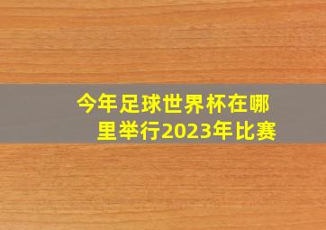 今年足球世界杯在哪里举行2023年比赛