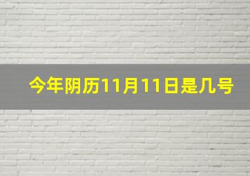 今年阴历11月11日是几号