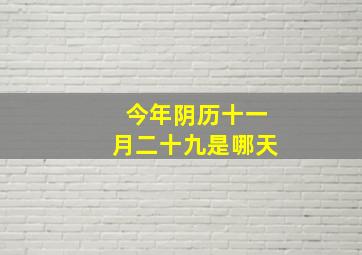 今年阴历十一月二十九是哪天