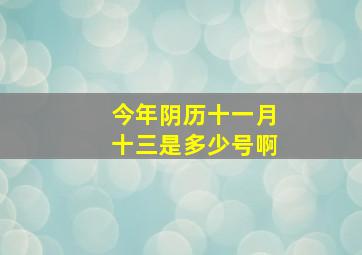 今年阴历十一月十三是多少号啊