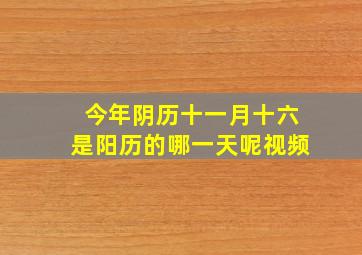 今年阴历十一月十六是阳历的哪一天呢视频