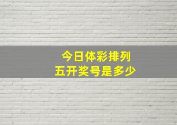 今日体彩排列五开奖号是多少