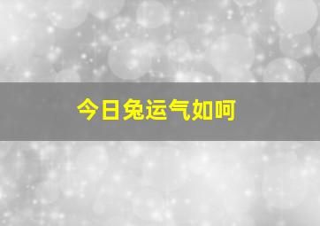 今日兔运气如呵