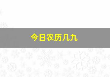 今日农历几九