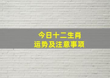 今日十二生肖运势及注意事项