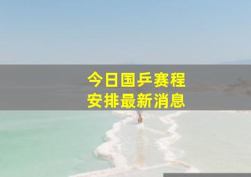 今日国乒赛程安排最新消息