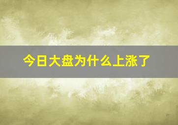 今日大盘为什么上涨了