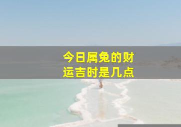 今日属兔的财运吉时是几点