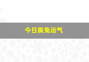 今日属兔运气