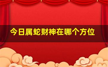 今日属蛇财神在哪个方位